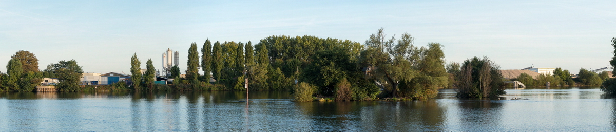 Rive gauche de la Seine